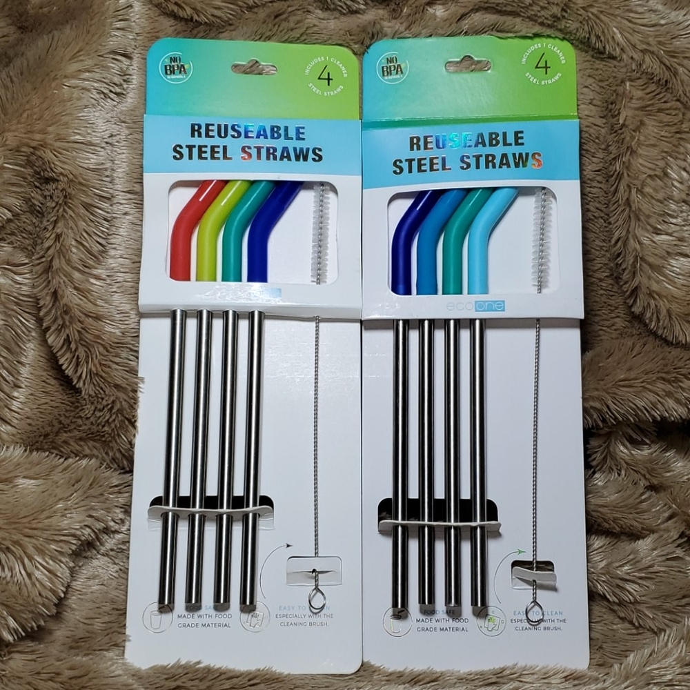 2x Reusable Steel Straws